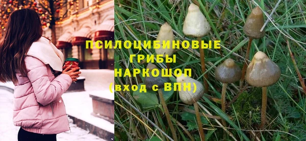 меф Алексин
